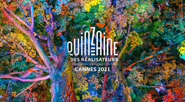 © Daniel Mercadante (photo) et Mich Welfringer (design)